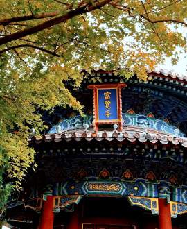 Jingshan Park270330 Jingshan Park