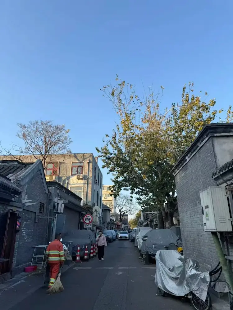 Mianhua Hutong