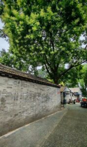 No.21 Dongming Hutong