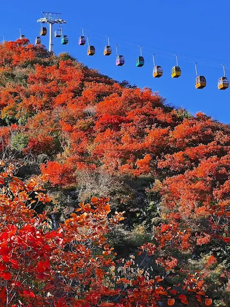 Xiangshan Scenic Area Cable Car