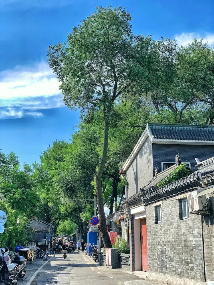 Yangfang Hutong