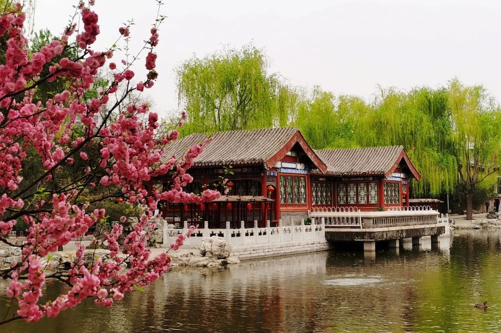 Aojing Xiguan Aojing Xiguan
