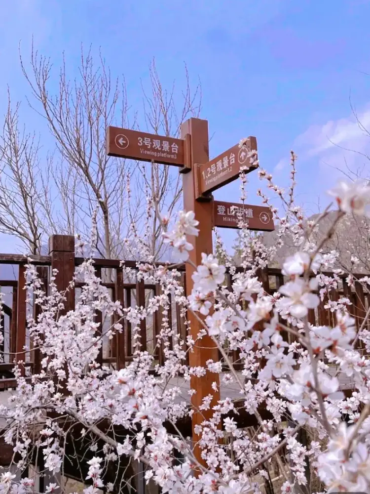 Best Free Photography Spots