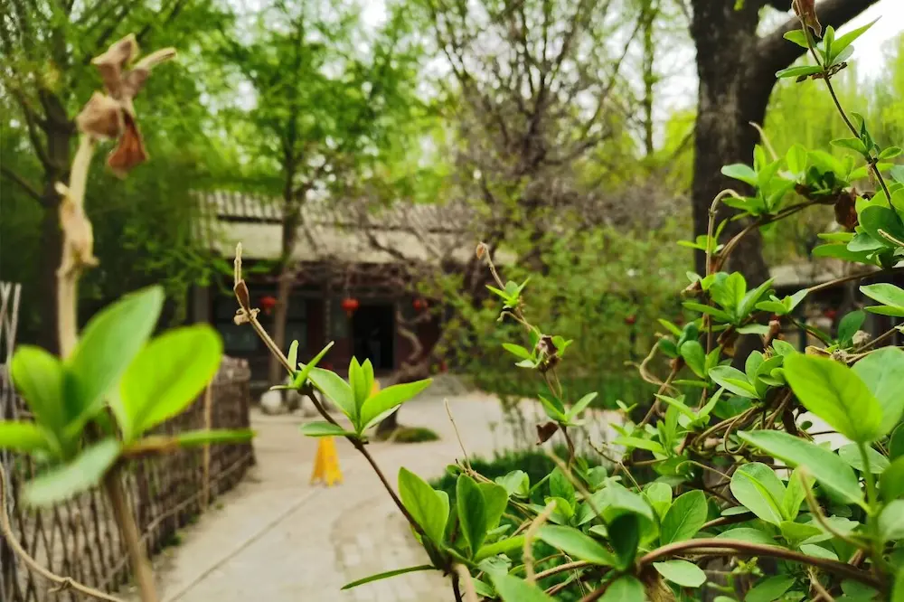 Daoxiang Village Daoxiang Village