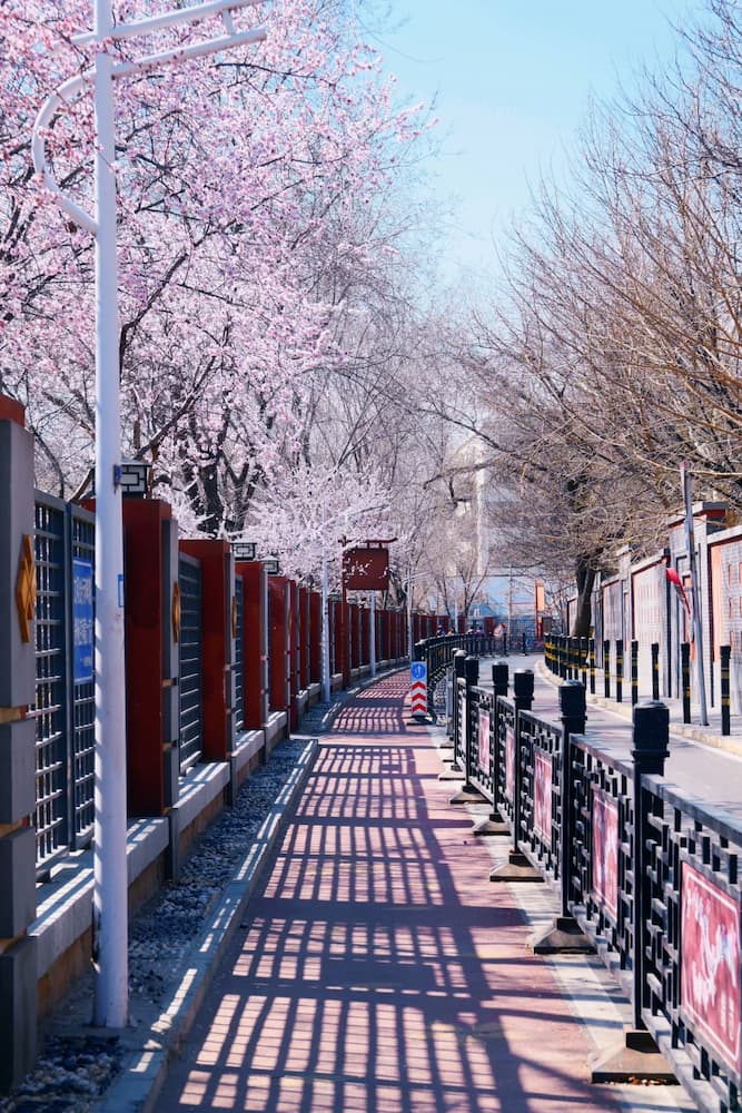 Erdaogou, Jintai Road