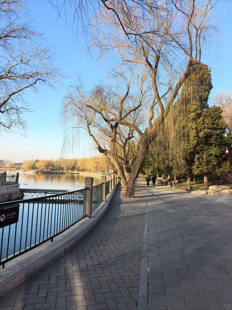 Morning at Beihai Park