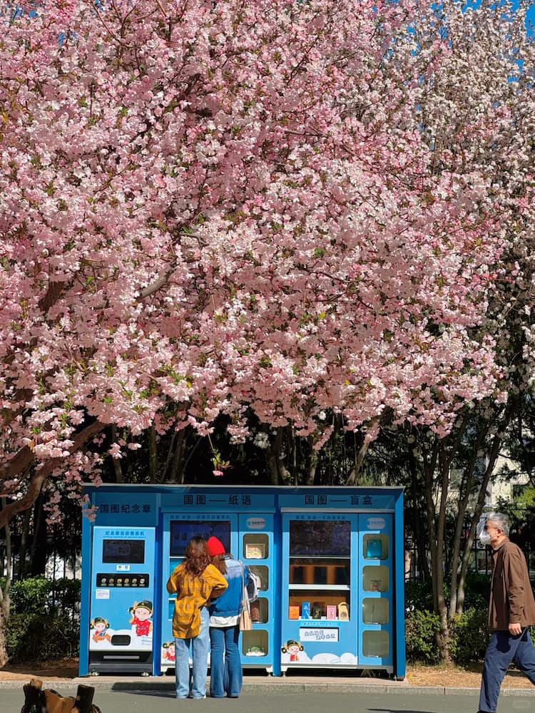  National Library of China 