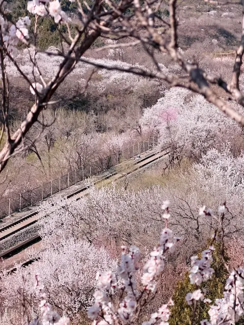 View taken from Observation Deck No. 1
