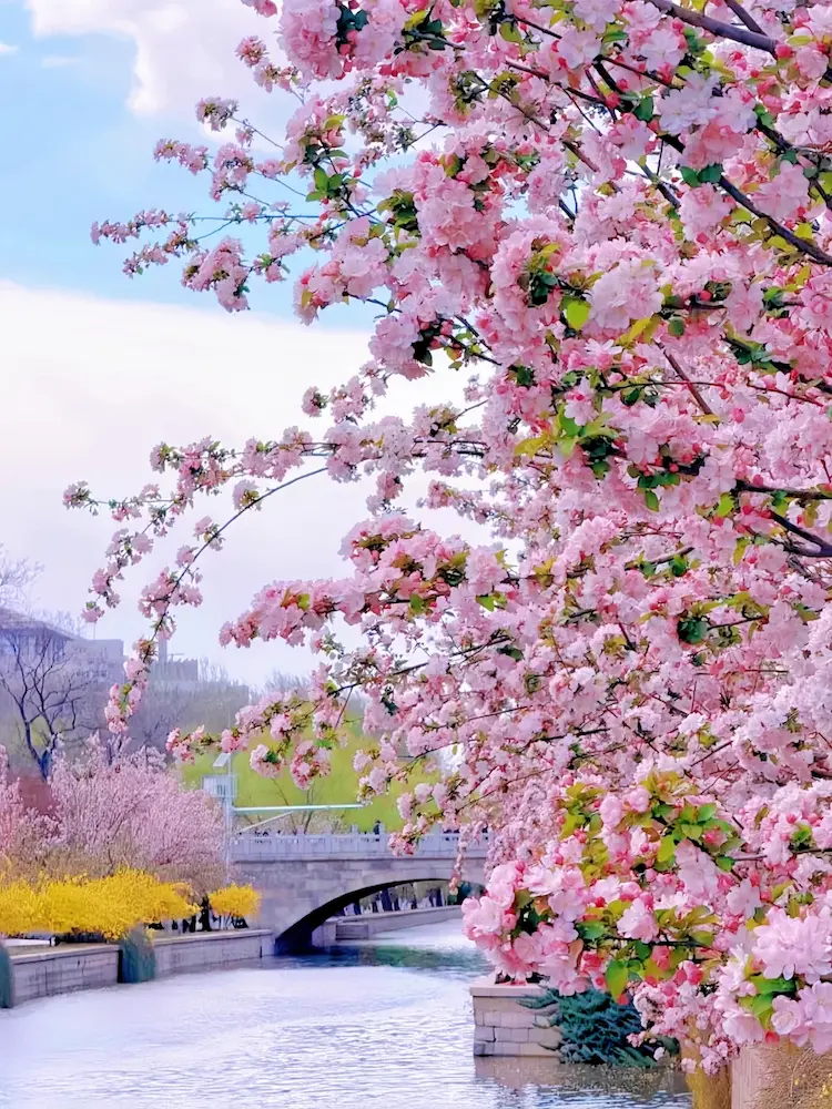Yuan Capital City Wall Ruins Park