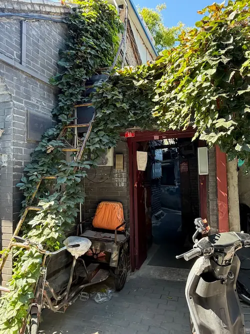 No.53 Mianhua Hutong