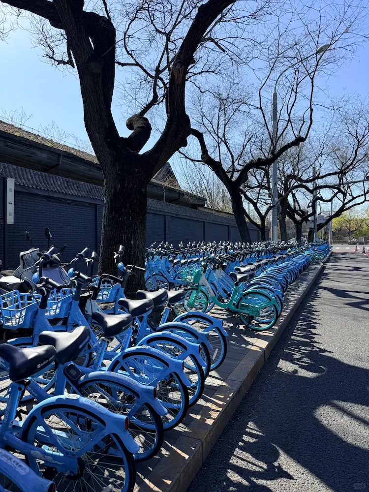 beijing bike-sharing i