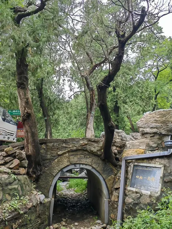 On-site Shots of Four Cypress Trees and Single-arch Bridge at Fahai Temple