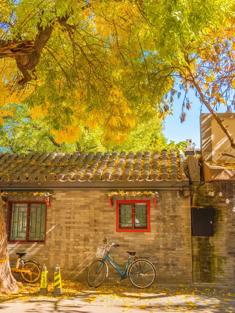 Bicycles leaning against walls in Beiluoguxiang Hutong in autumn