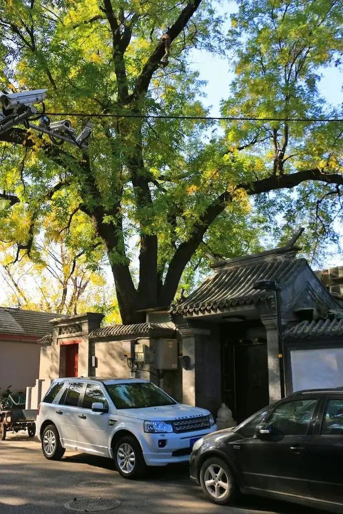 No. 33&35 Courtyard, Zhao Fu Street