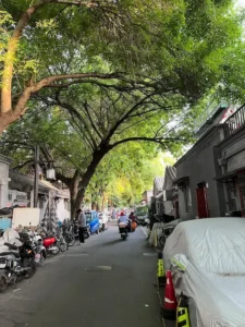 Scenery of Baochao Hutong in summer