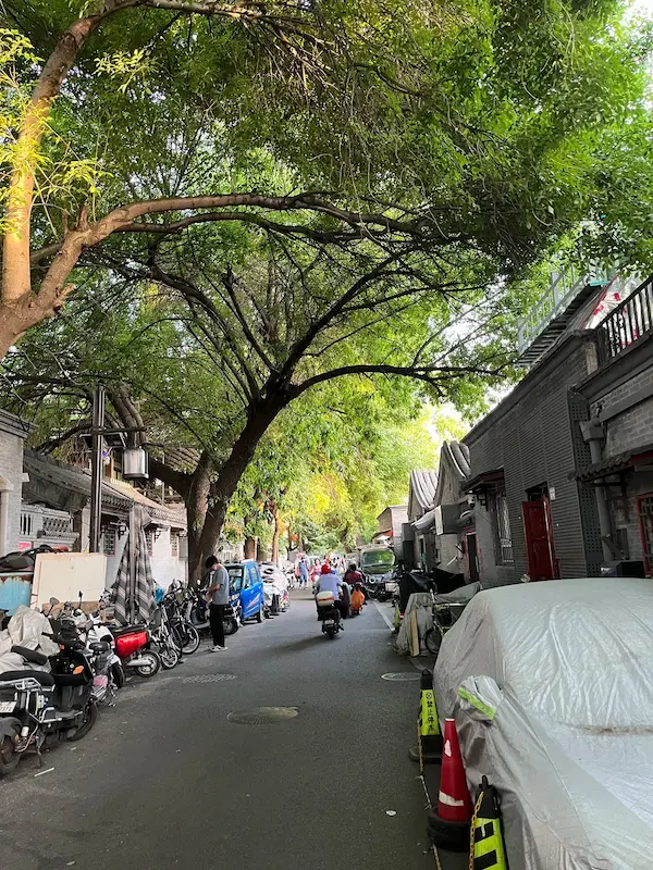 Scenery of Baochao Hutong in summer