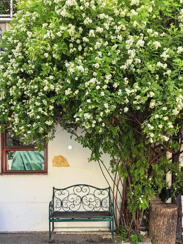 White Flower Wall of Beiluoguxiang Hutong