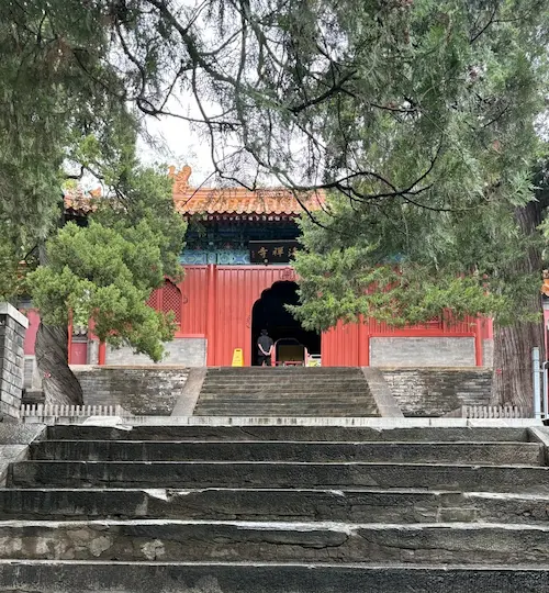 Fahai Temple in Summer
