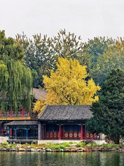 The Grand View Garden in Late Autumn