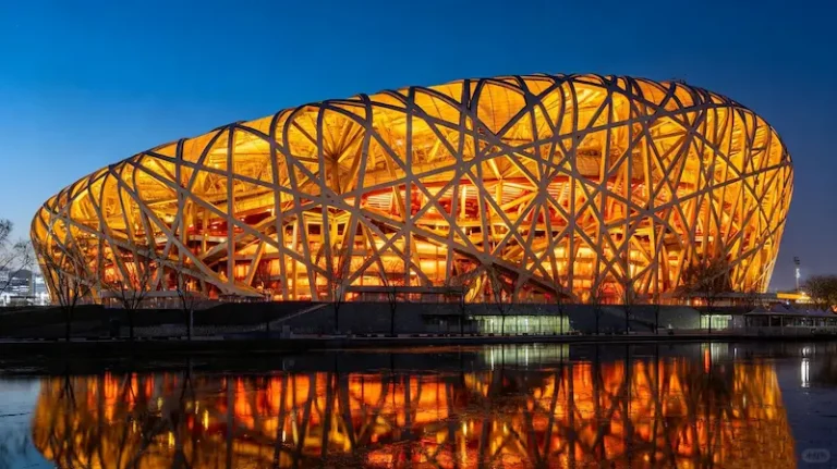The Bird's Nest at Night