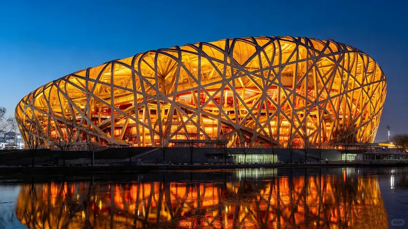 The Bird's Nest at Night