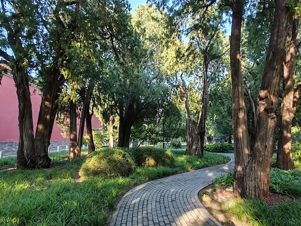 The Crown Prince’s Grove